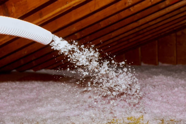 Best Specialized Insulation Services in Annapolis, MD