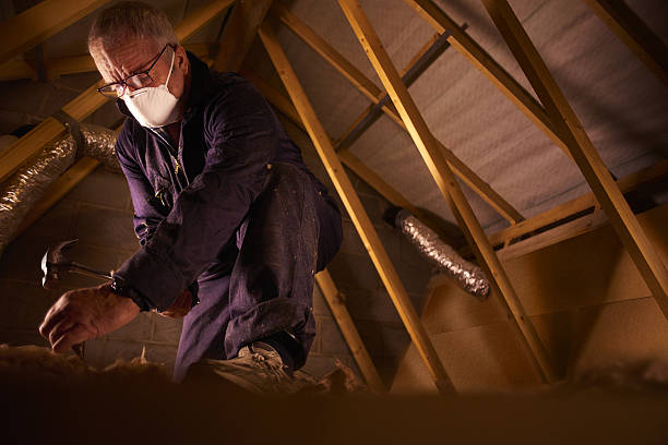 Best Eco-Friendly Insulation in Annapolis, MD